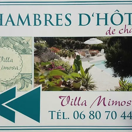 Mimosa 4*
