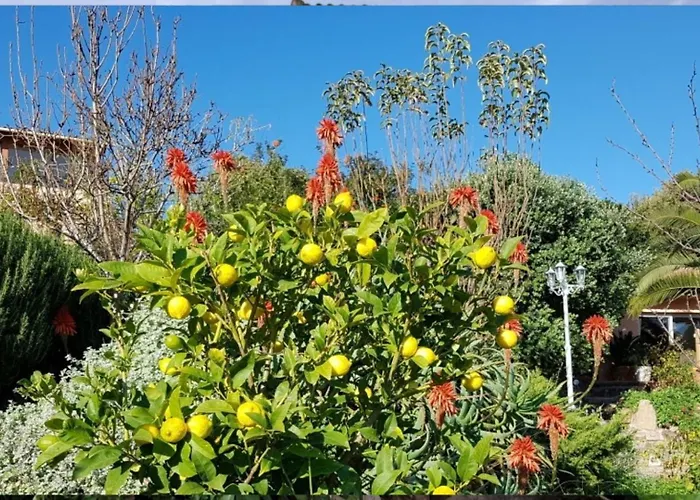 Mimosa Bed & Breakfast 4*