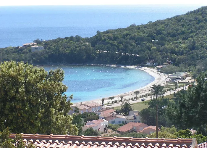 Mimosa 4* Favone