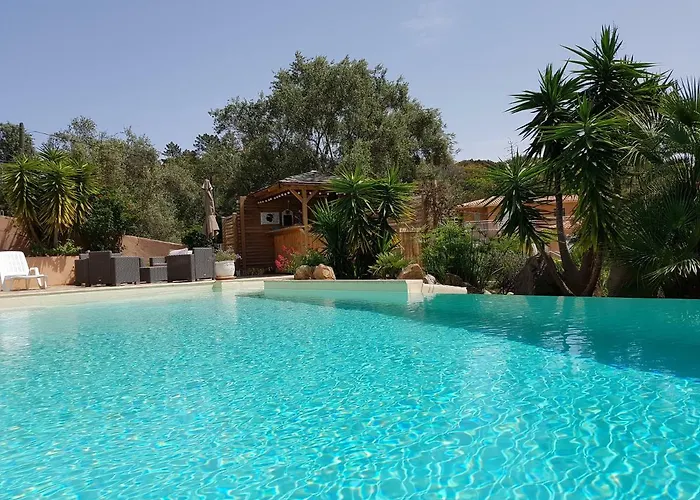 Mimosa 4* Favone
