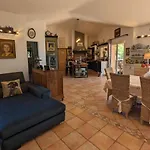 Mimosa