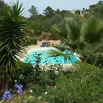Mimosa Favone