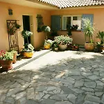 Mimosa
