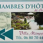 Mimosa 4*