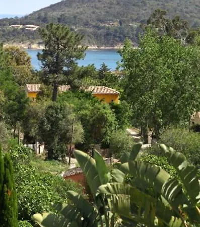 Mimosa Bed and Breakfast