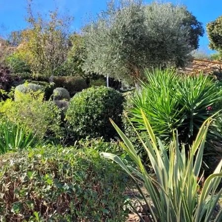 Mimosa Bed & Breakfast