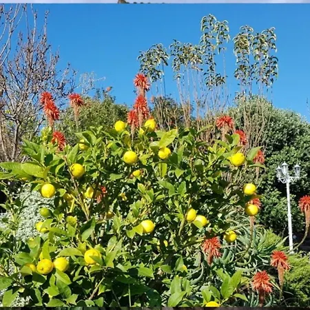 Mimosa Bed and Breakfast 4*