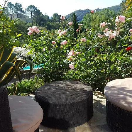 Bed & Breakfast Mimosa *