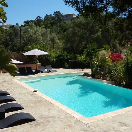 Mimosa Bed and Breakfast