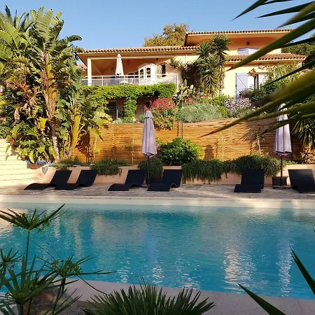 Mimosa Panzió Favone