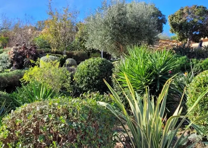 Mimosa 住宿加早餐酒店