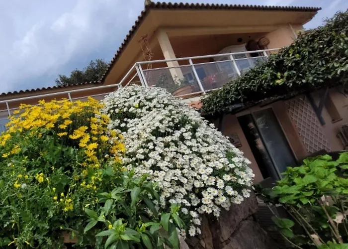 Bed & Breakfast Mimosa Favone