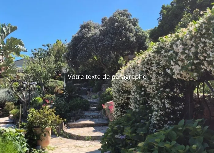 Bed & Breakfast Mimosa 4*