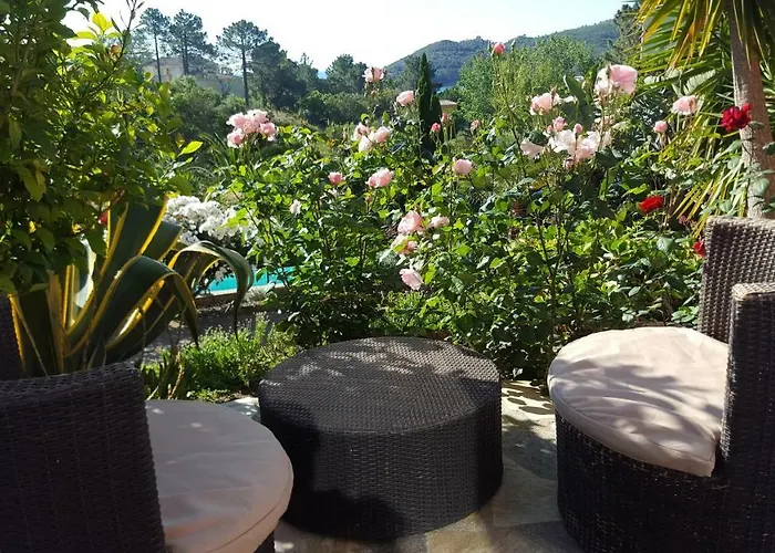 Bed & Breakfast Mimosa 4*